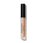 Filter Effect Soft Radiance Concealer